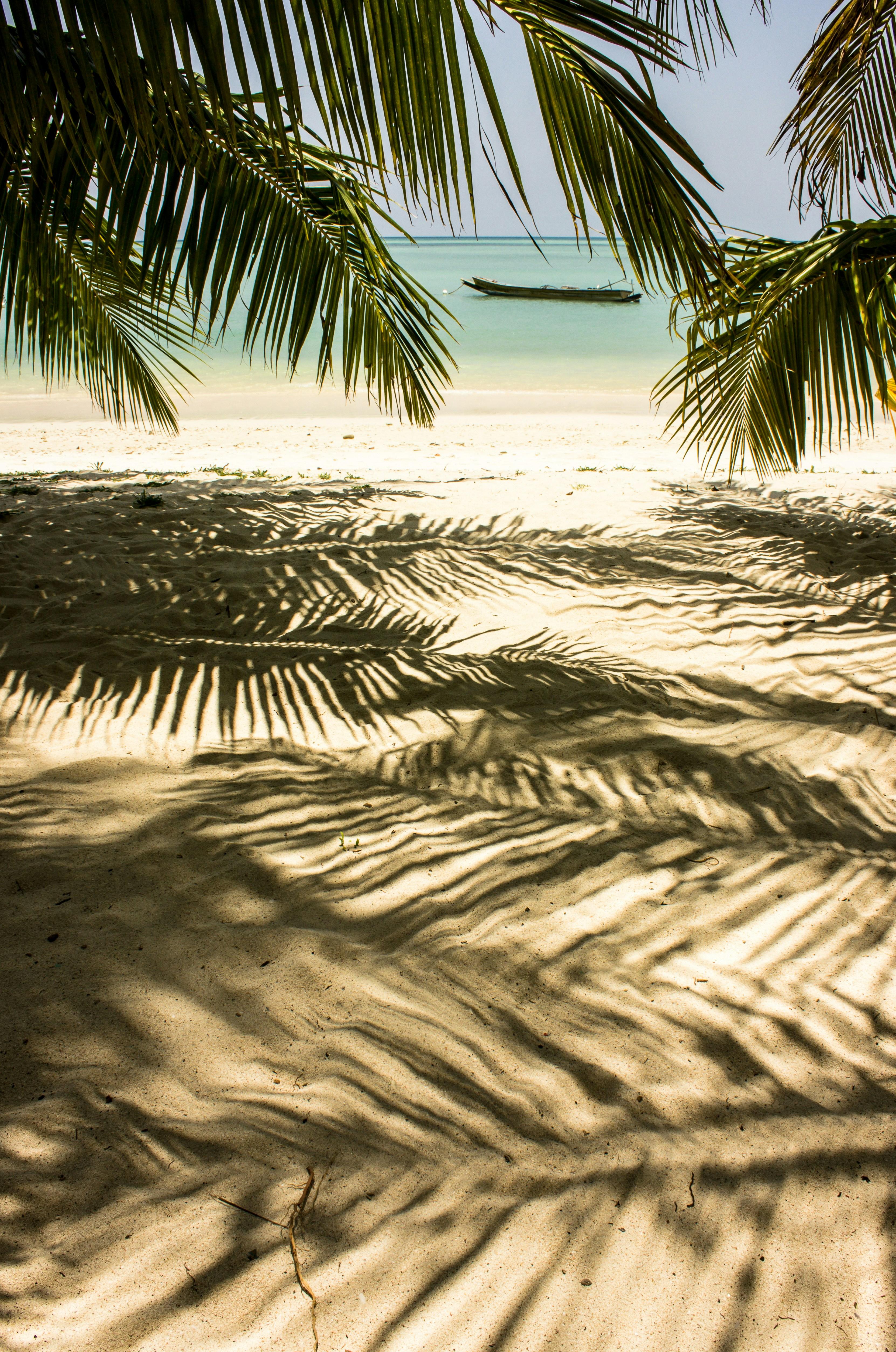 The Cruise Vacation: Where Family, Romance and Self-Care Align - background banner